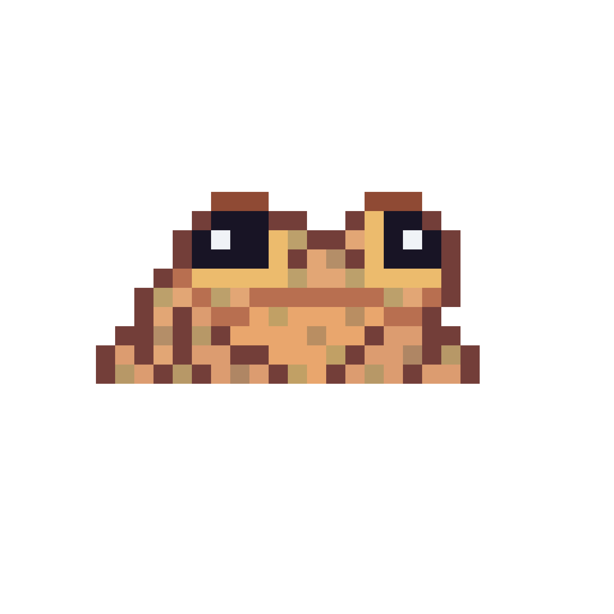Froggy Image